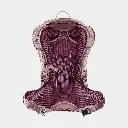 Futura 25 SL Women Cassis Ashrose