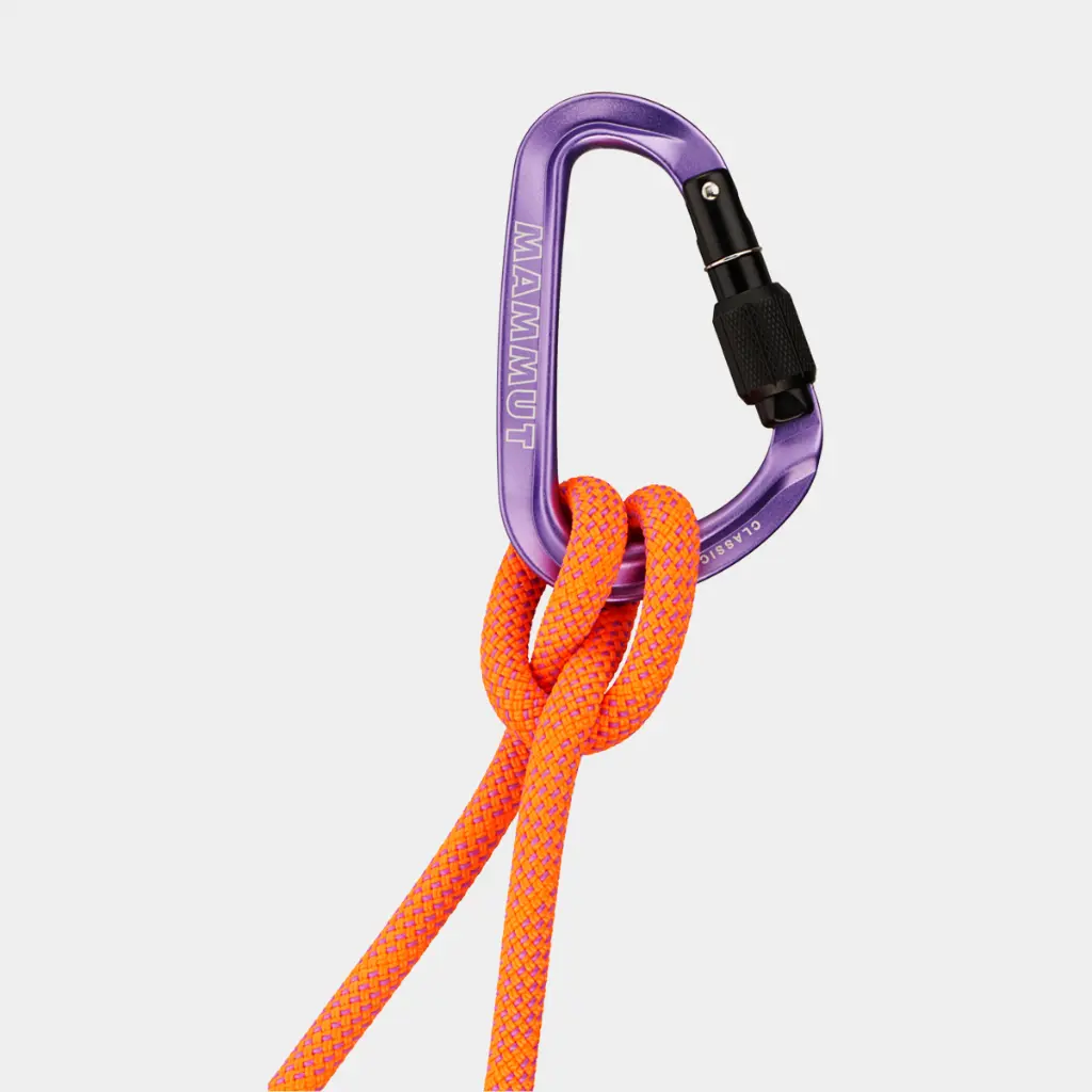 Classic HMS Screwgate Carabiner Screw Gate Alpine Calamint