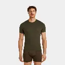 Anatomica Short Sleeves Crewe Dark Loden