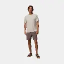 Alpine Chill Pro Short Sleeves Crew Dark Stone