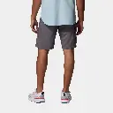 Silver Ridge Utility Cargo Short 10" City Grey