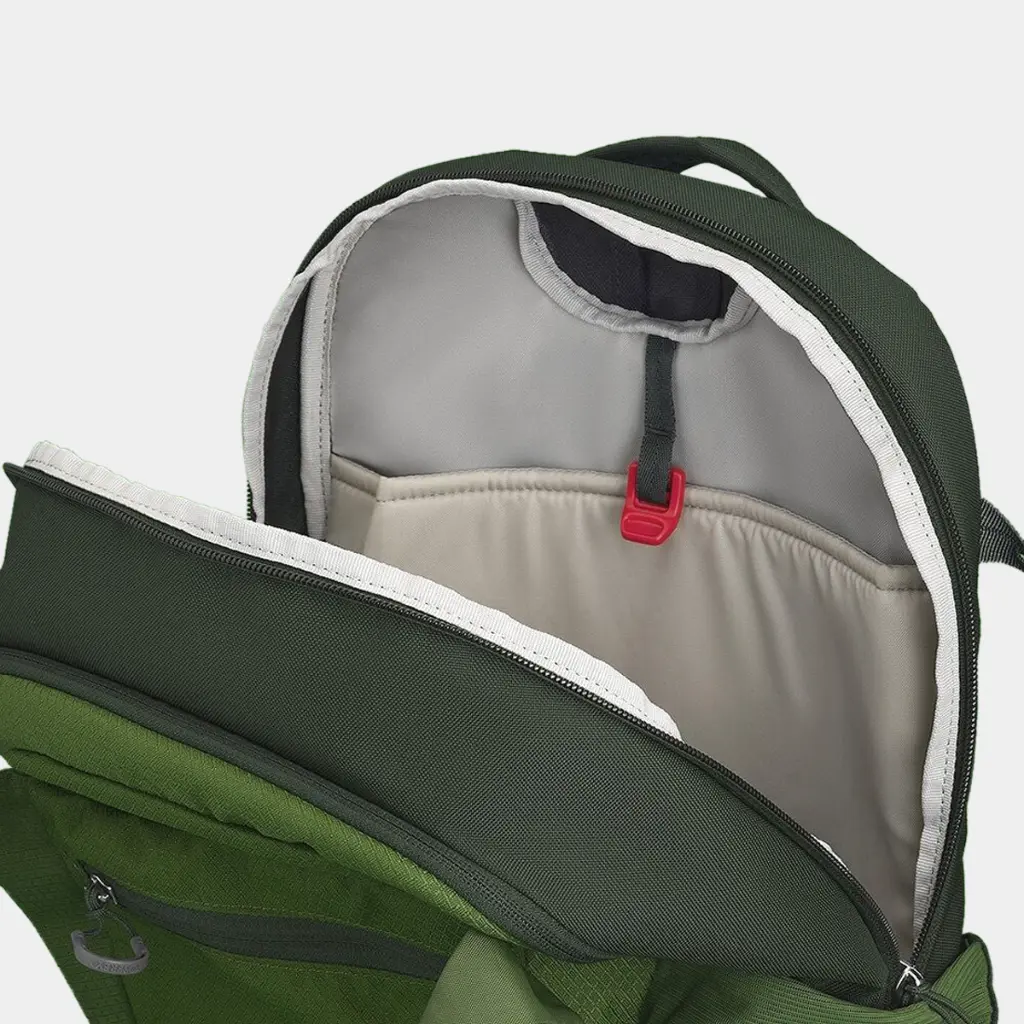 Daylite Plus Green Belt / Green Canopy