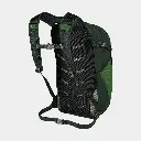 Daylite Plus Green Belt / Green Canopy