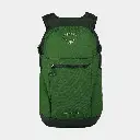 Daylite Plus Green Belt / Green Canopy