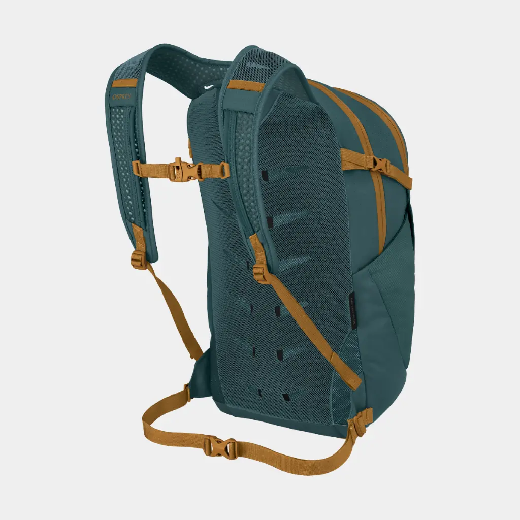 Daylite Plus Torrent Blue