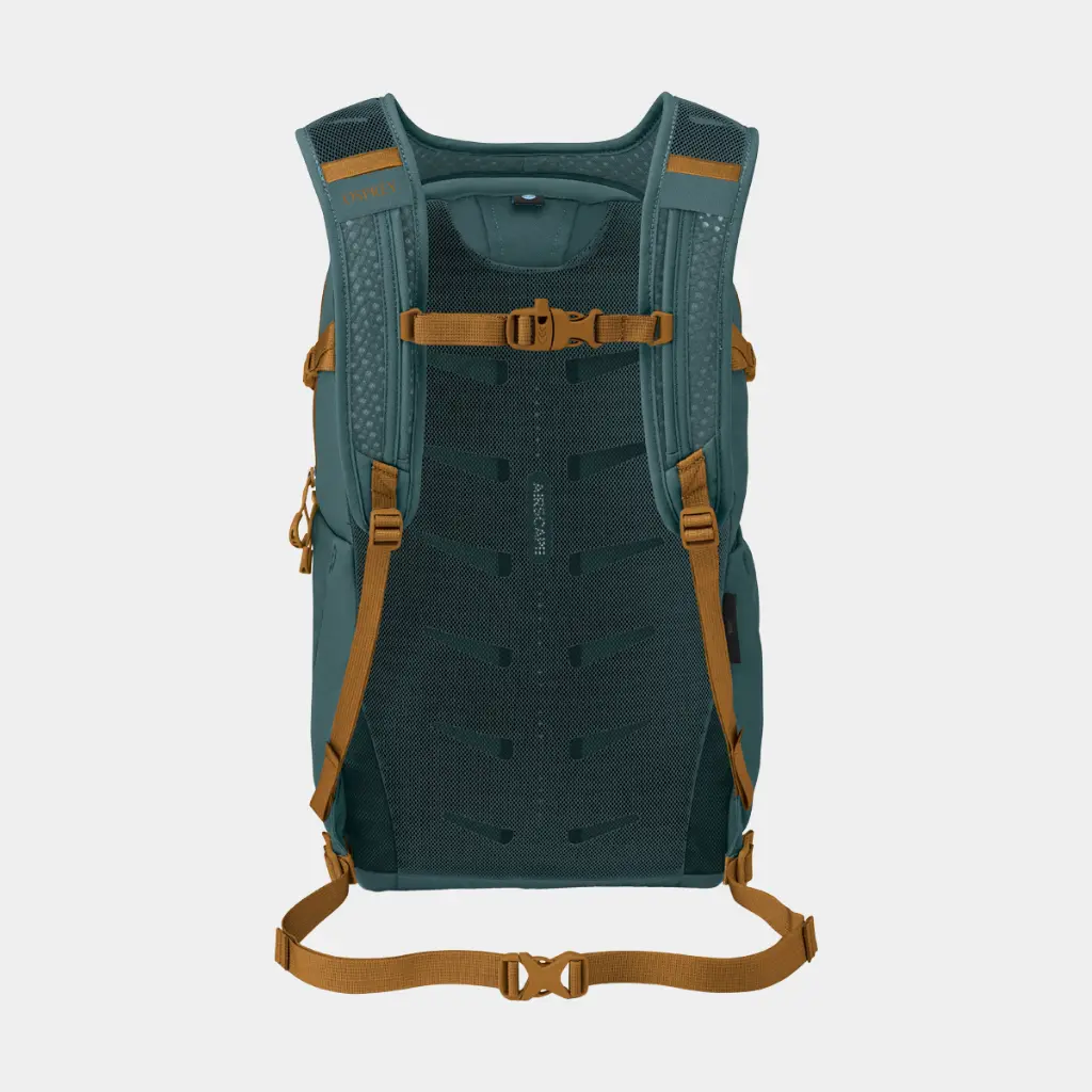 Daylite Plus Torrent Blue