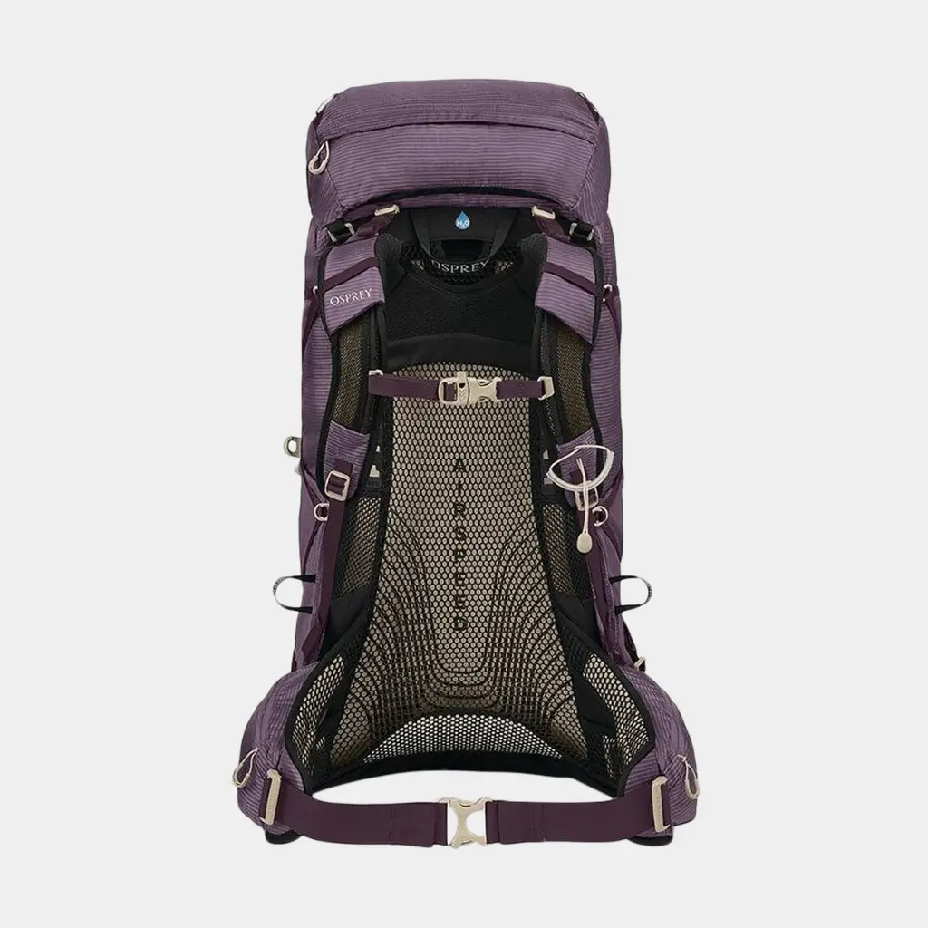 Eja 48 Women Purple Dusk