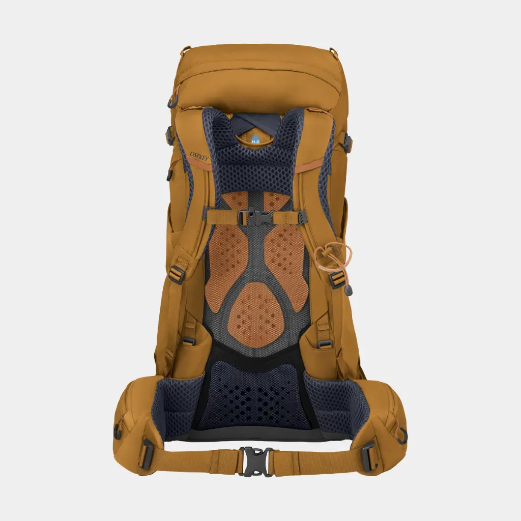 Kyte 38 Women Barley Brown