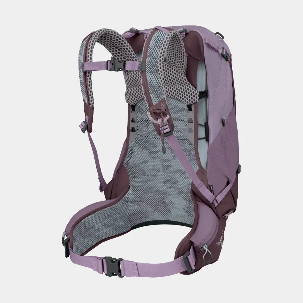 Sirrus 24 Women Purple Dusk