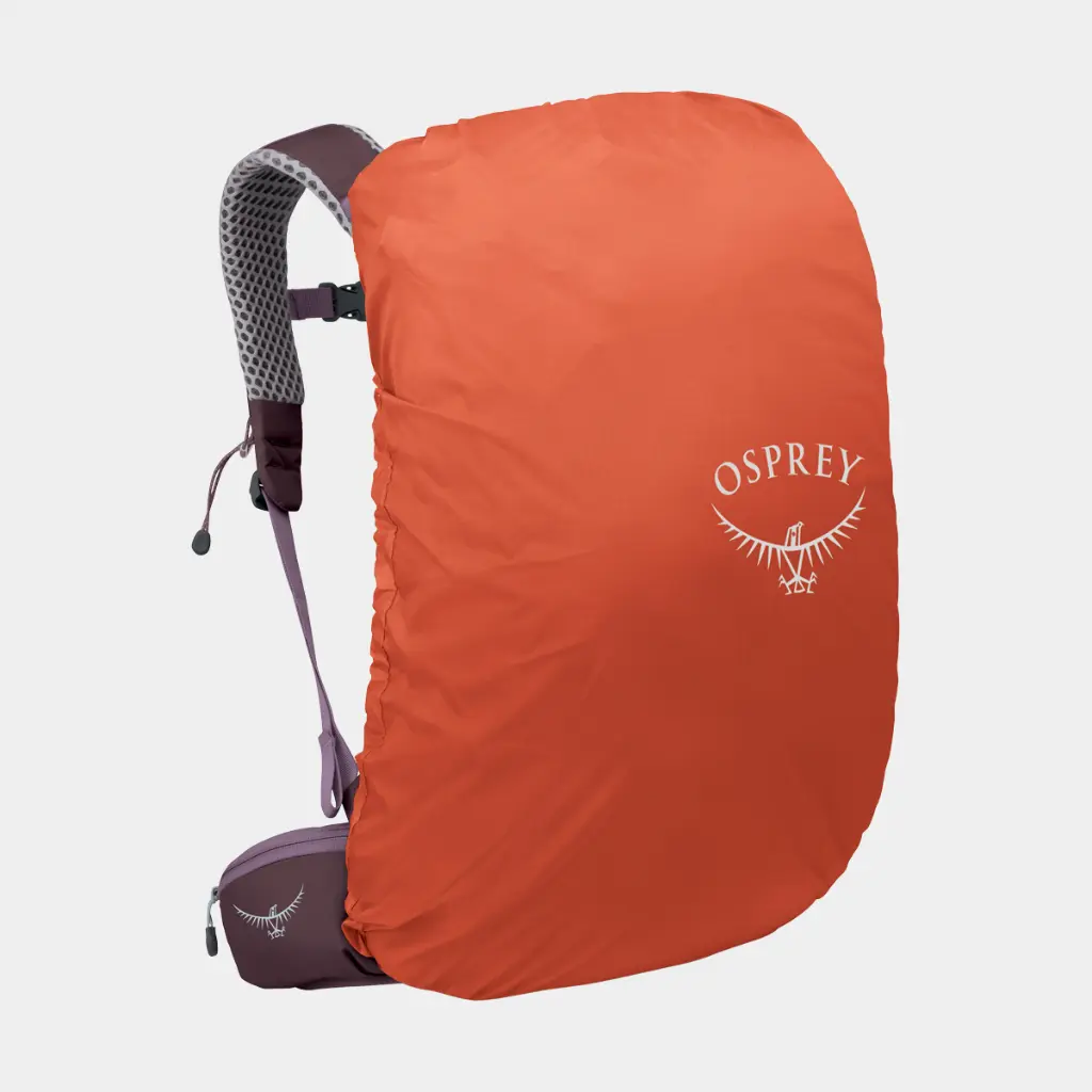 Sirrus 24 Women Purple Dusk