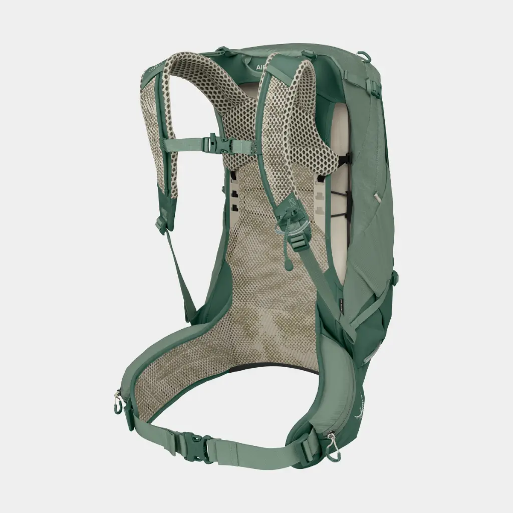 Stratos 24 Pine Leaf Green