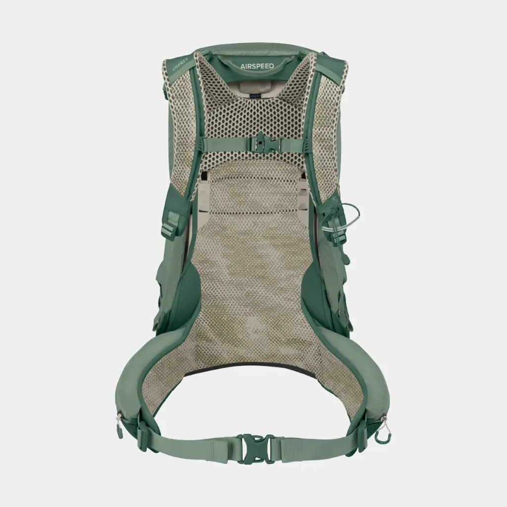 Stratos 24 Pine Leaf Green