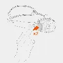 Swift RL Black / Orange