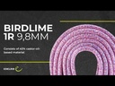Birdlime 1R 9.8mm 70M Pink Royal
