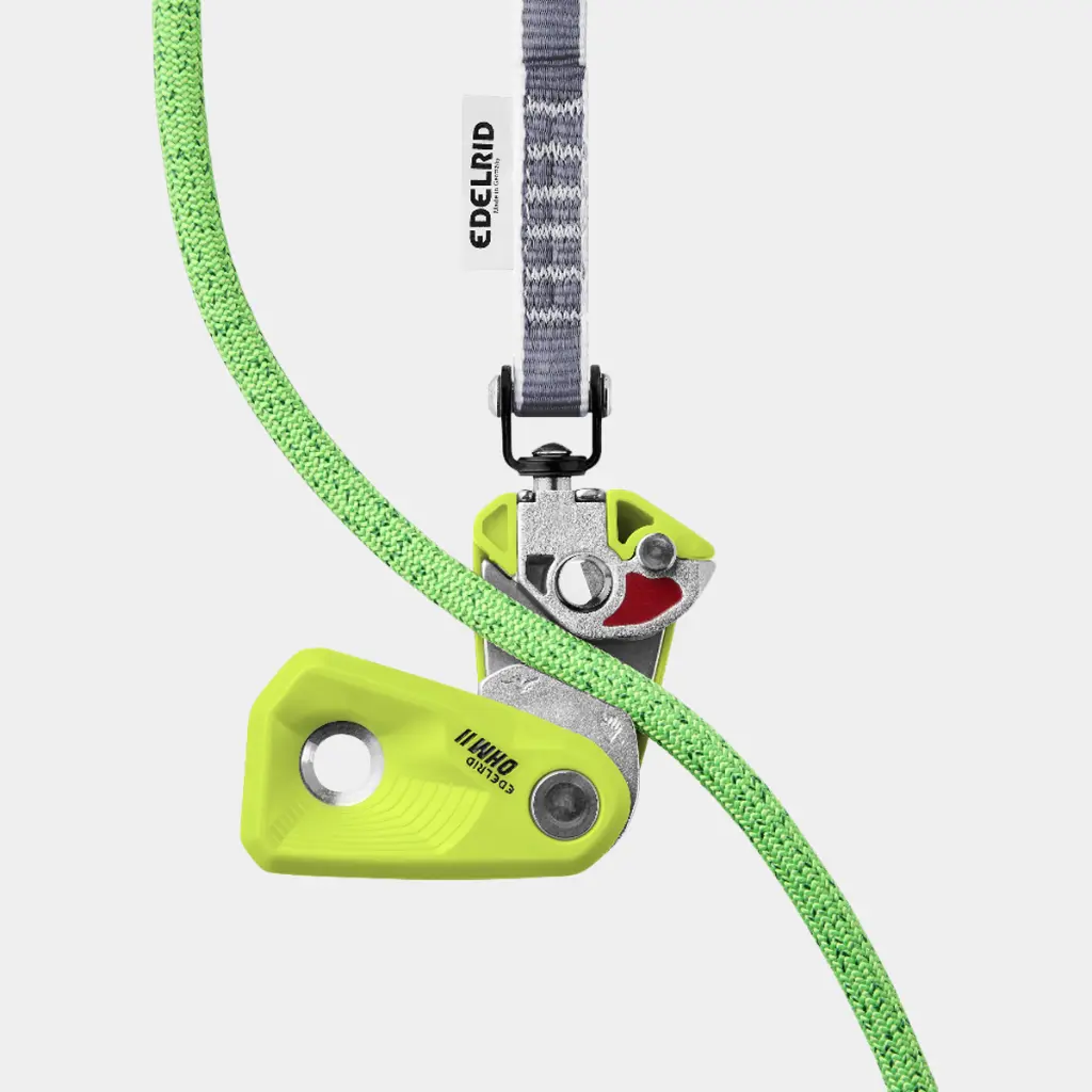 Ohm II Oasis / Night