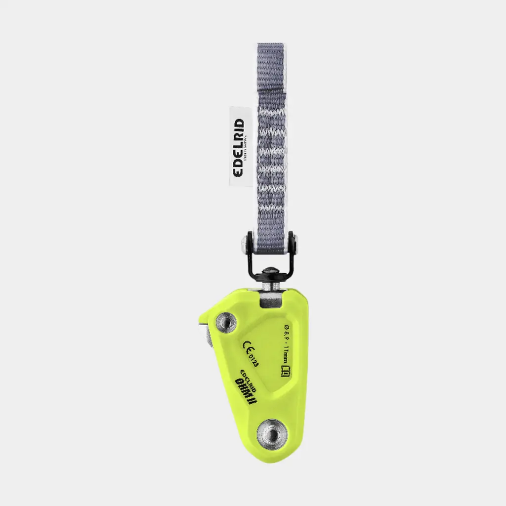 Ohm II Oasis / Night