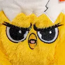 Boulder Chalkbag Chick