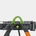 Pandion Steel