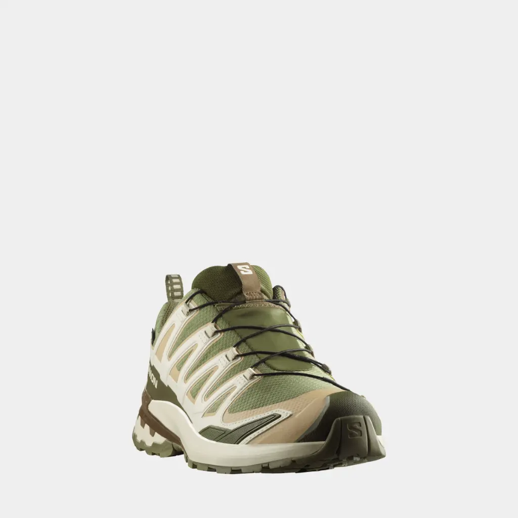 XA Pro 3D V9 GTX Deep Lichen Green / Safari