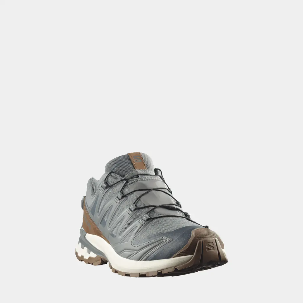 XA Pro 3D V9 GTX Lifelong Sedona Sage / Coyote Brown