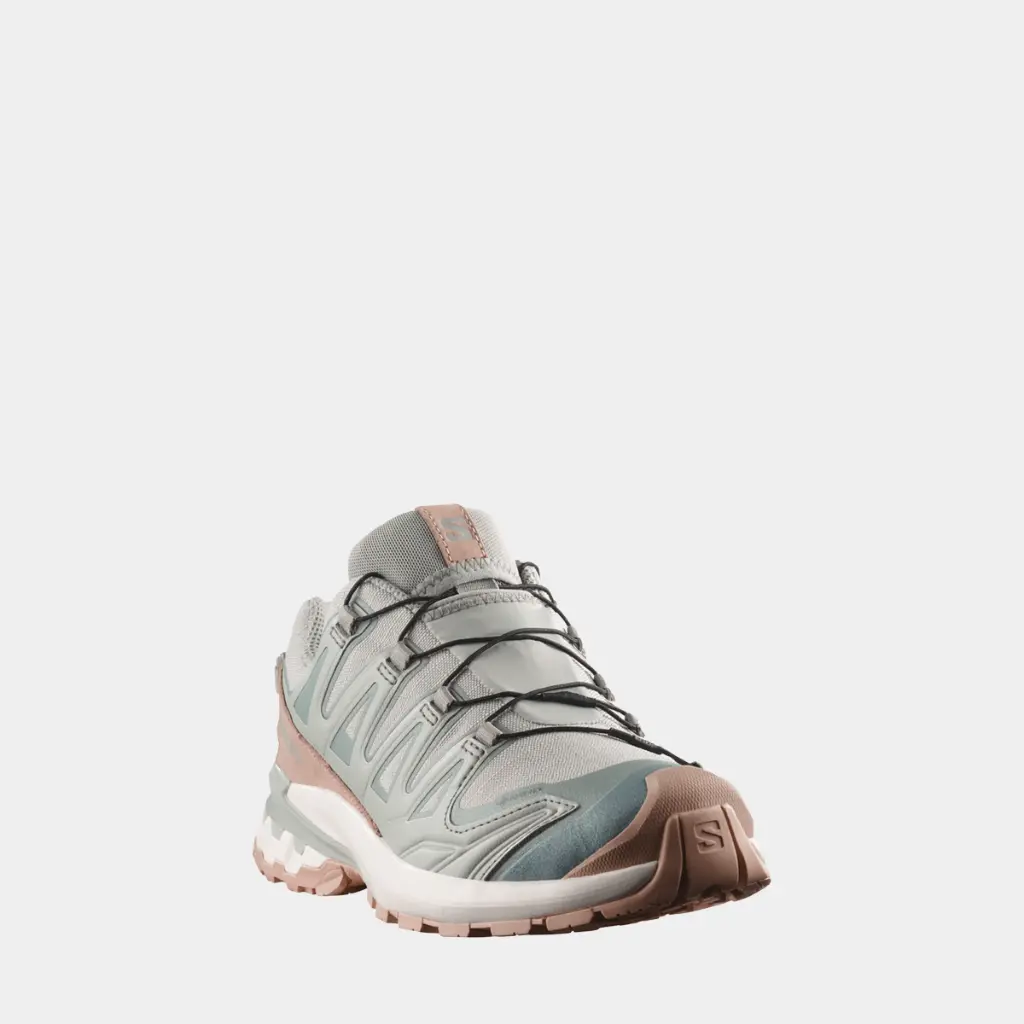 XA Pro 3D V9 GTX Lifelong Women Wrought Iron / Oxford Tan