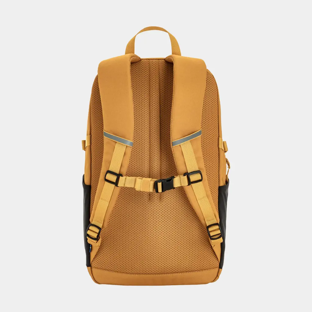 Skule 24 Red Gold