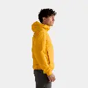 Atom Hoody Larch