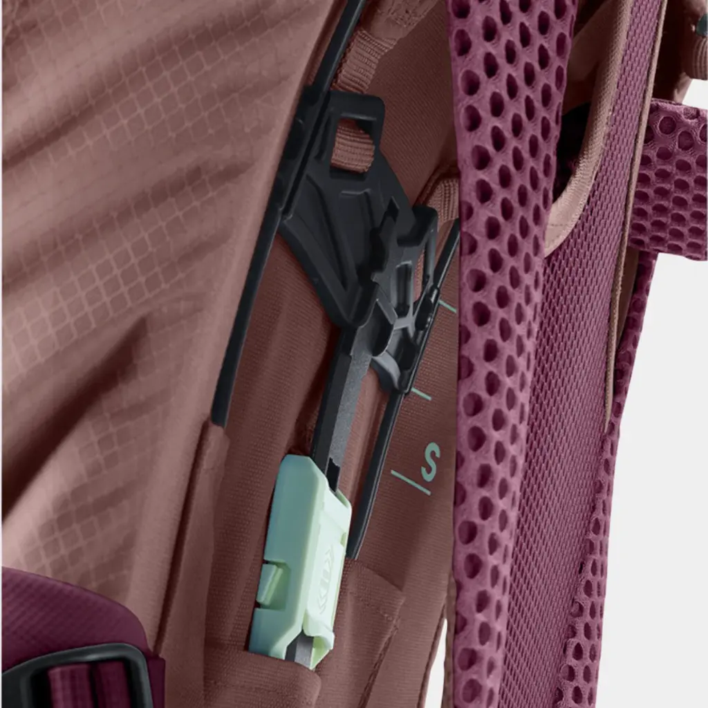 Futura Pro 34 SL Women Cassis Ashrose
