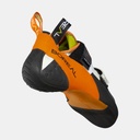 Alpha Graphite / Green (copie)