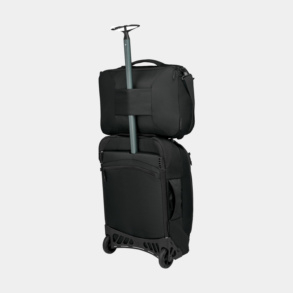 Nova Juneberry Purple (copie)