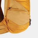 Firecrest 38 Pack Arrow Wood