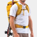 Firecrest 38 Pack Arrow Wood