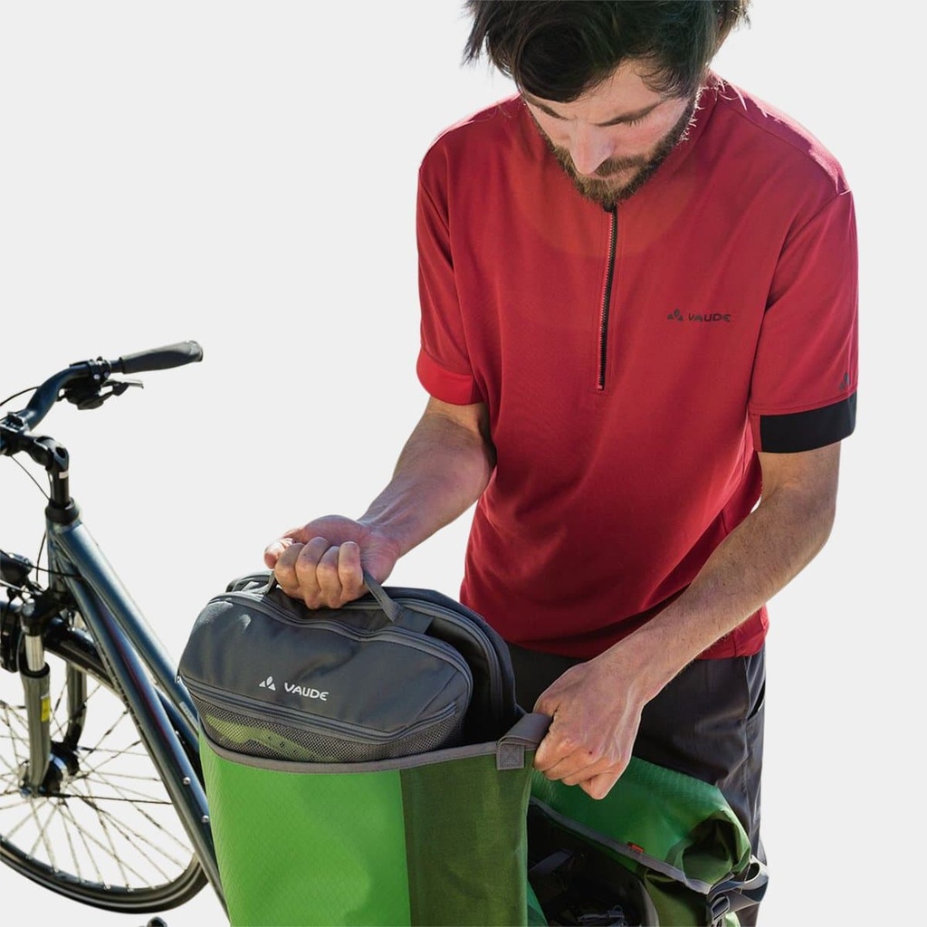 Aqua Back Parrot Green