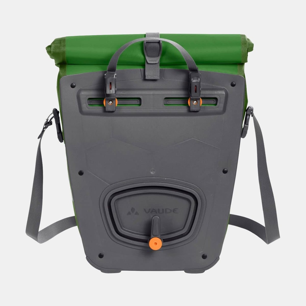 Aqua Back Parrot Green