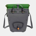 Aqua Back Parrot Green