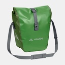 Aqua Front Parrot Green