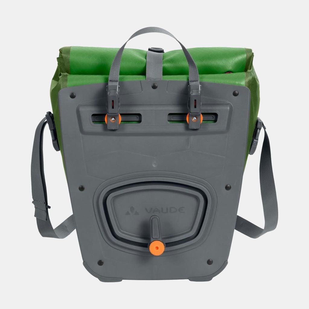 Aqua Front Parrot Green