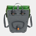 Aqua Front Parrot Green