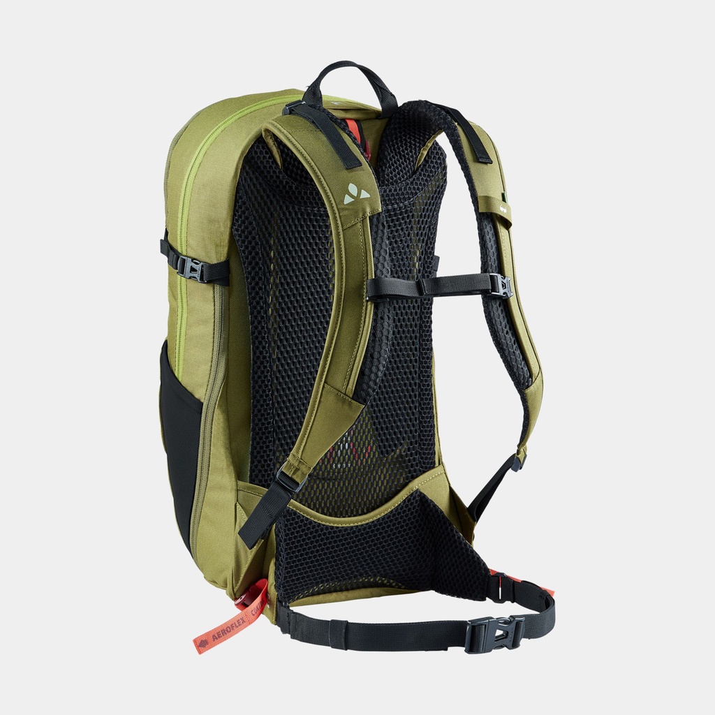 Wizard 18+4 (2021) Avocado