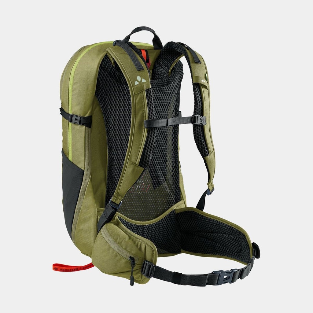 Wizard 30+4 (2021) Kingfisher (copie)