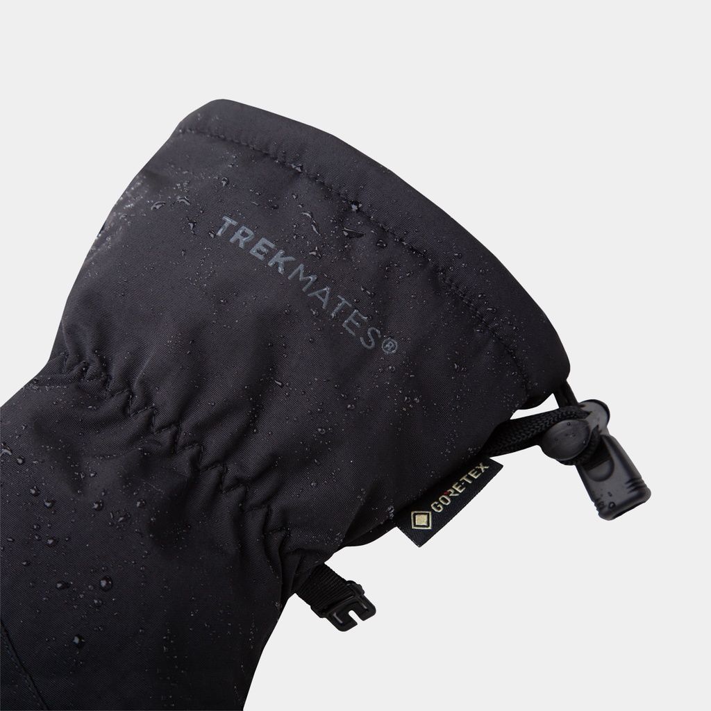 Chamonix GTX Mitts Women (2022) Black