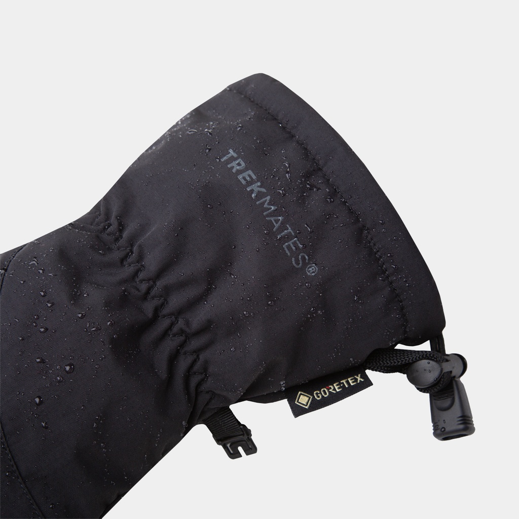 Chamonix GTX Mitts Women (2022) Black