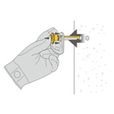 Coeur Pulse 12mm (2023)