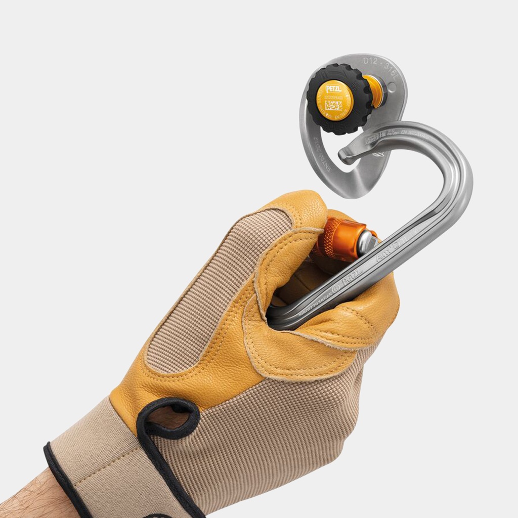 Coeur Pulse 12mm (2023)