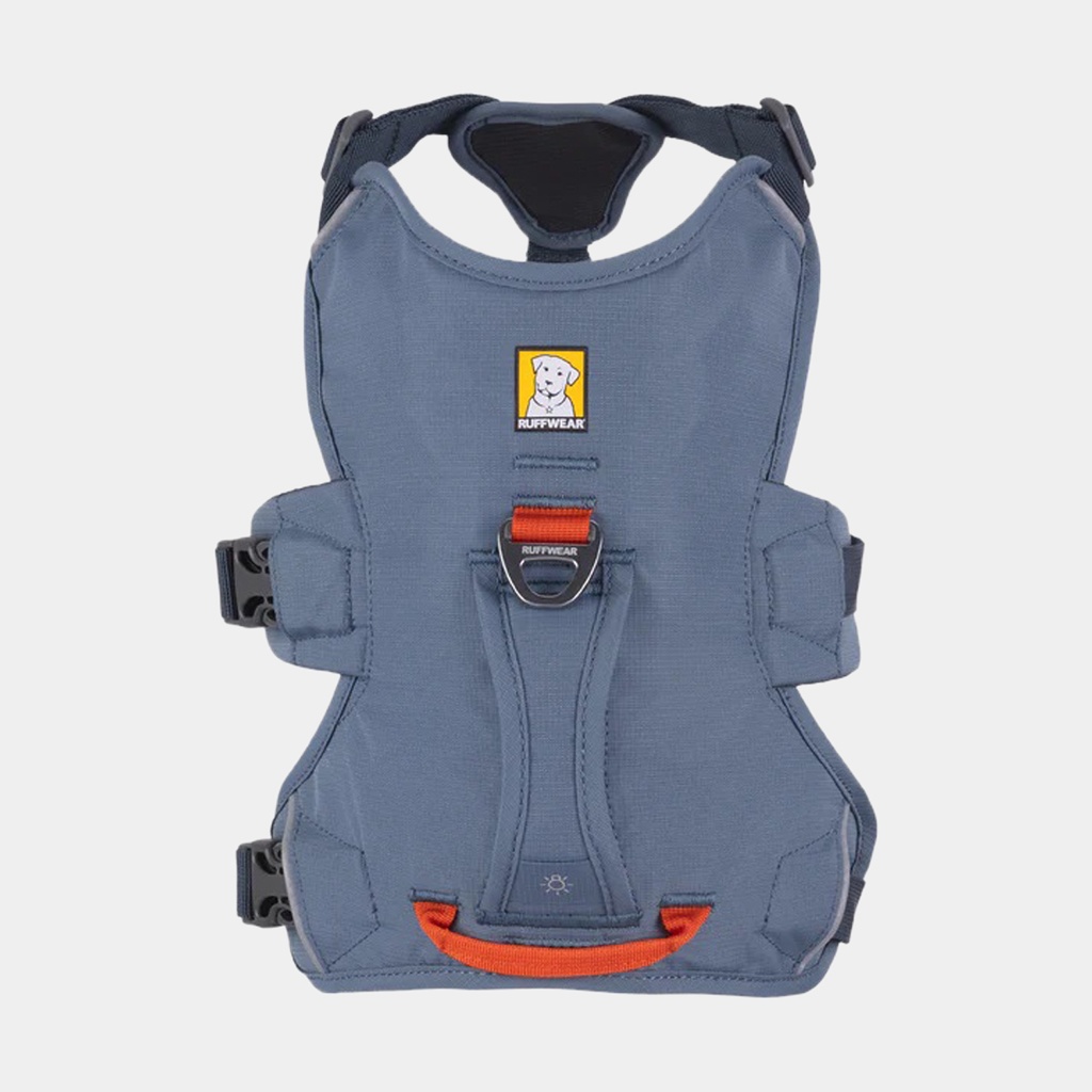 Web Master Harness Slate Blue