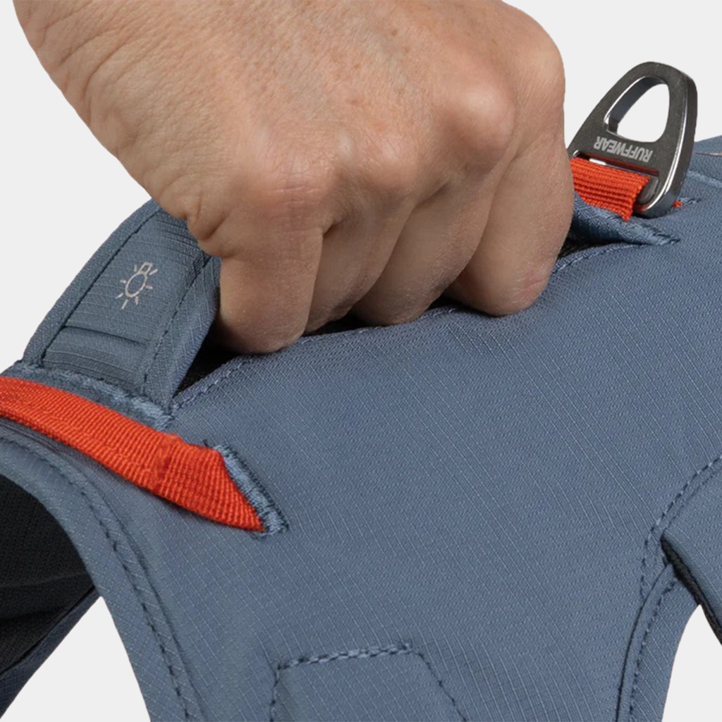 Web Master Harness Slate Blue