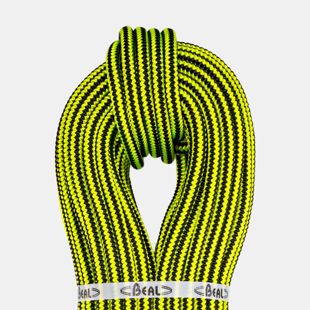 Ginkgo 12mm - 1 épissure