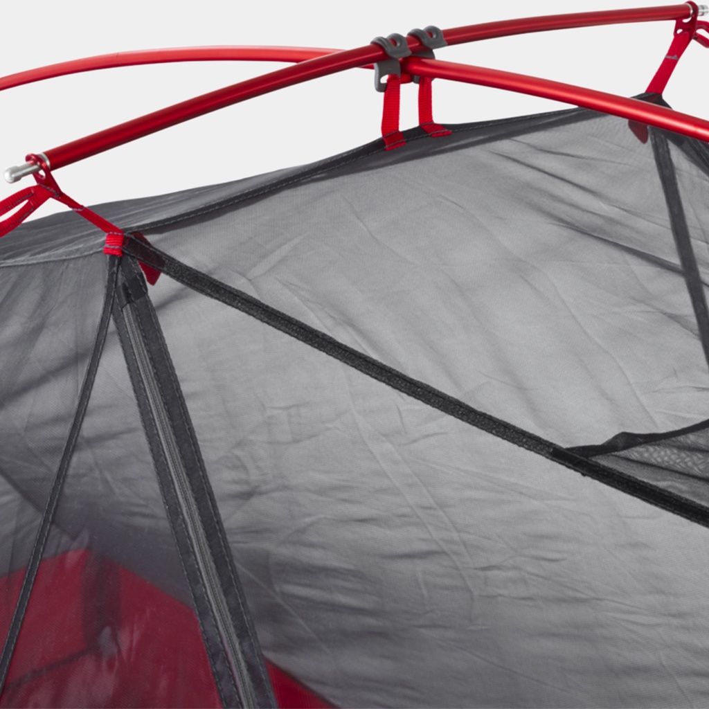 FreeLite 3 (2022) Green