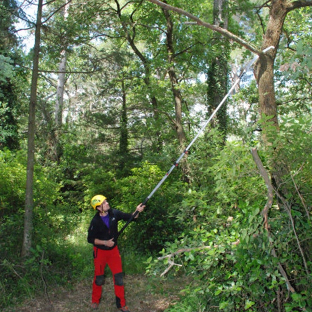 Scie à perche Hayauchi 3670-6.5 avec lame de 480mm