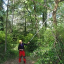 Scie à perche Hayauchi 3670-6.5 avec lame de 480mm